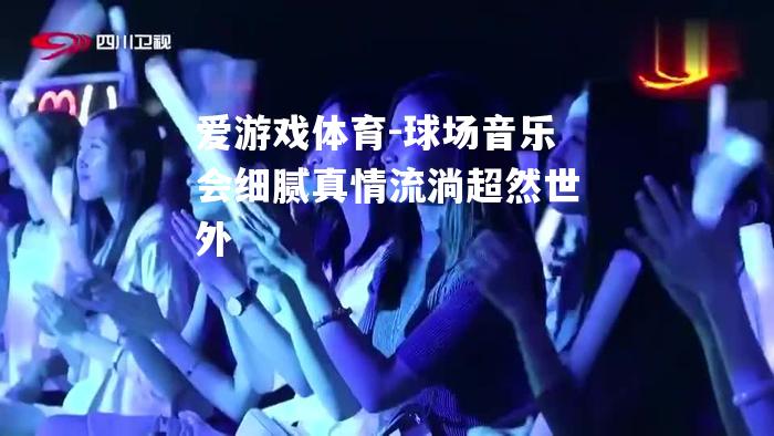 球场音乐会细腻真情流淌超然世外